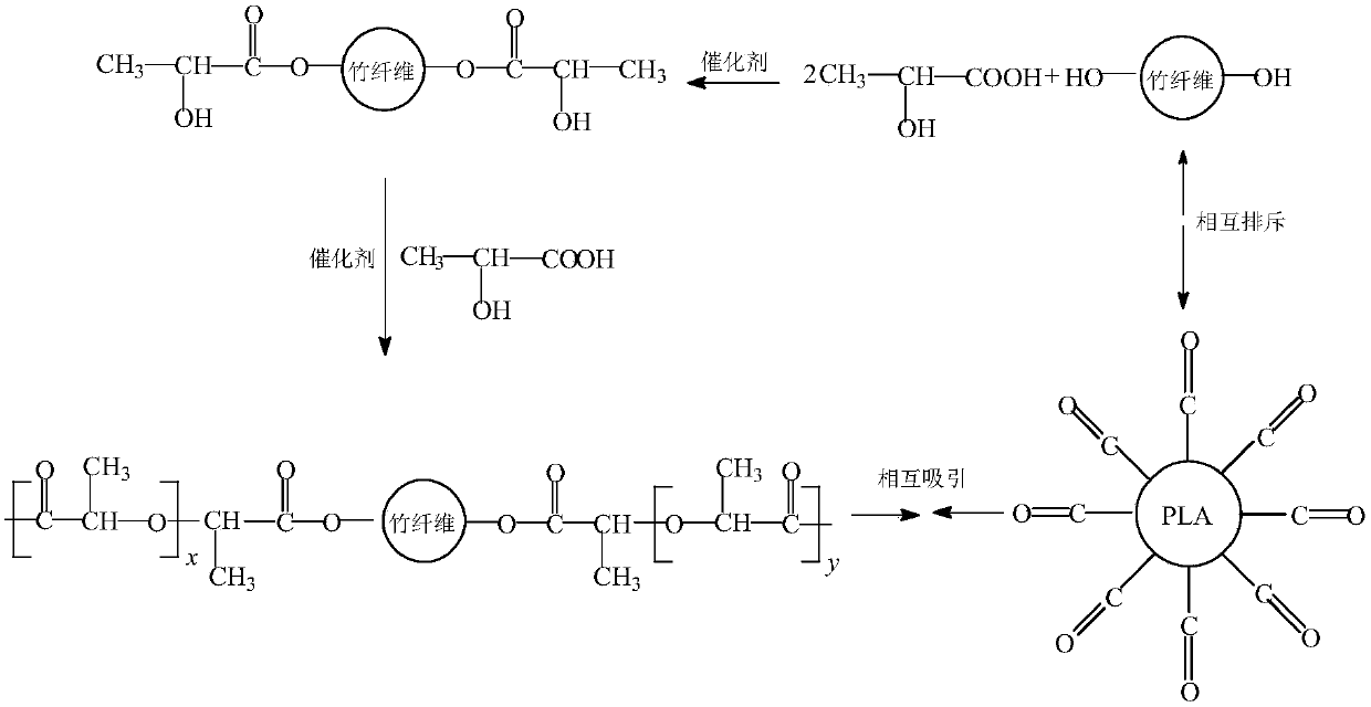 Bamboo fiber/polylactic acid composite material and preparation method thereof