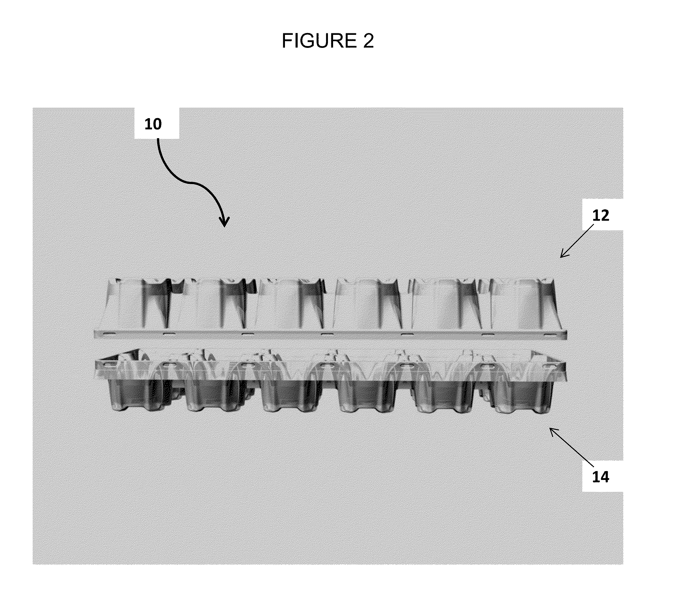 Egg Packaging Carton and System