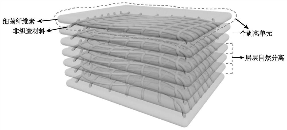 Efficient preparation method of bacterial cellulose/non-woven fiber composite mask base cloth