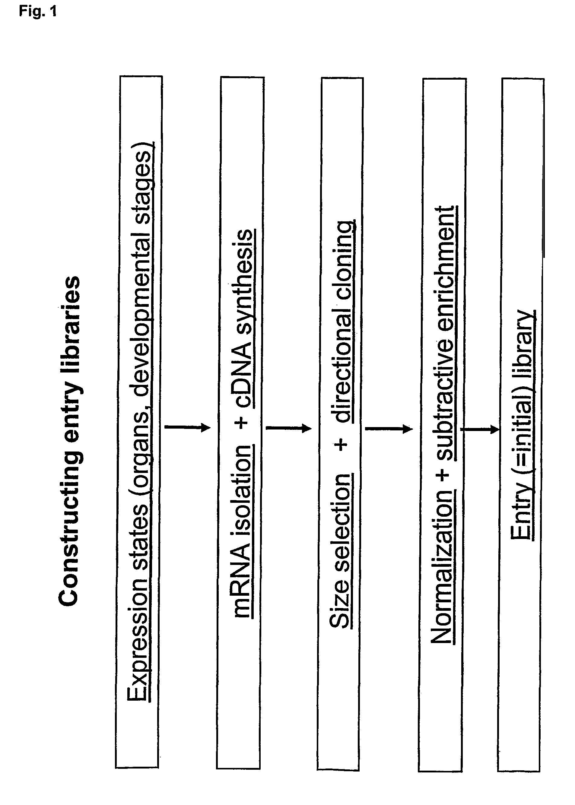 Concatemers of differentially expressed multiple genes