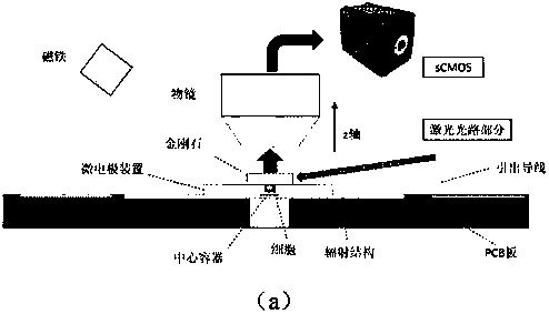 Microcosmic electrical impedance imaging device and method based on diamond NV color center