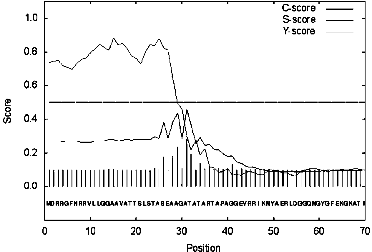 Engineering bacterium based on extracellular laccase and implementation method thereof