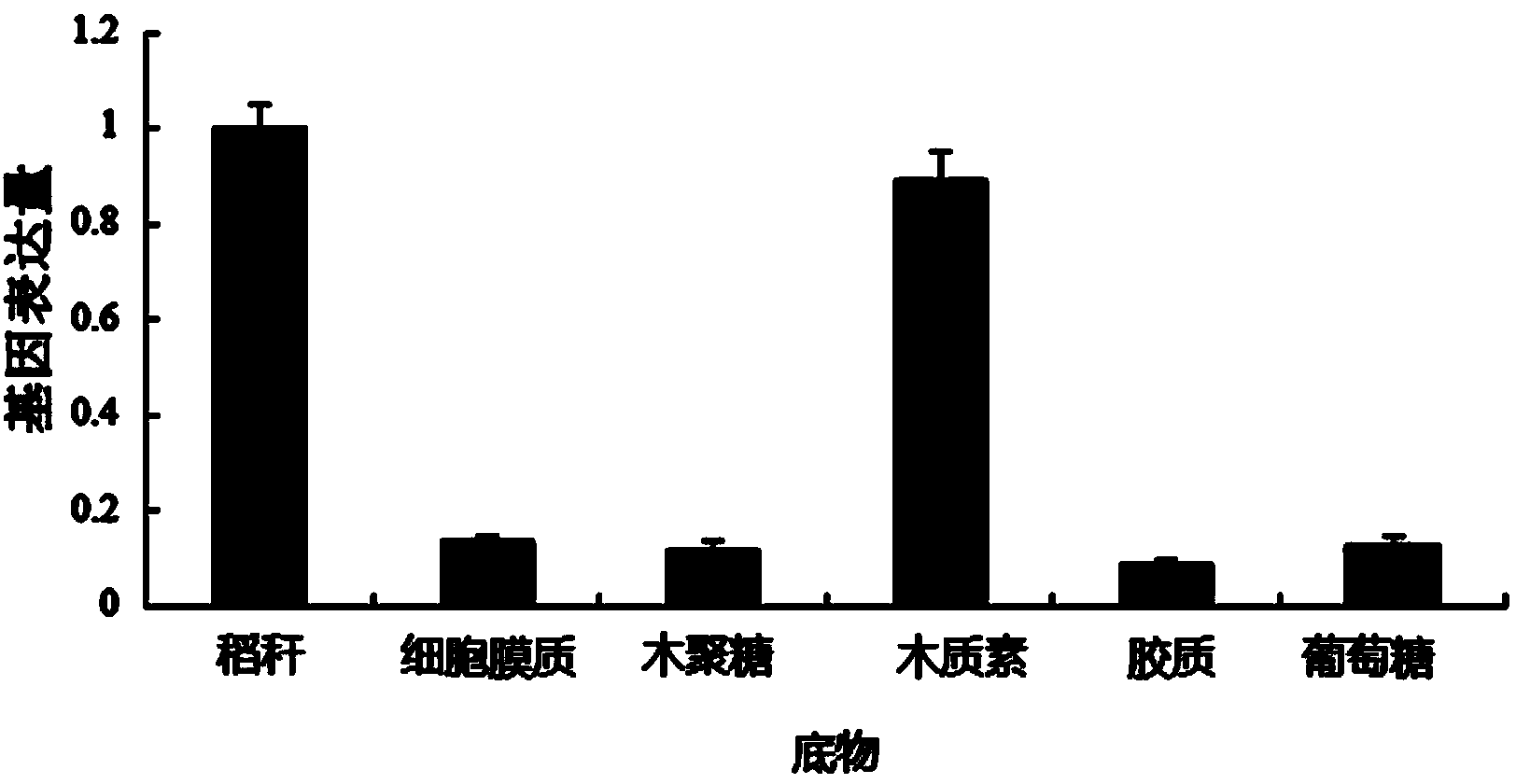 Engineering bacterium based on extracellular laccase and implementation method thereof