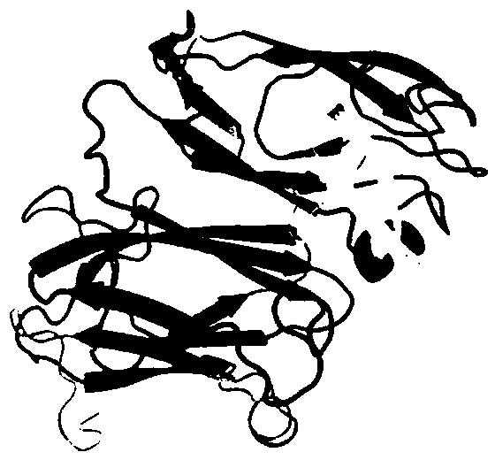 Engineering bacterium based on extracellular laccase and implementation method thereof