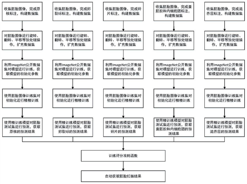 Embryo division process analysis and pregnancy rate intelligent prediction method and system