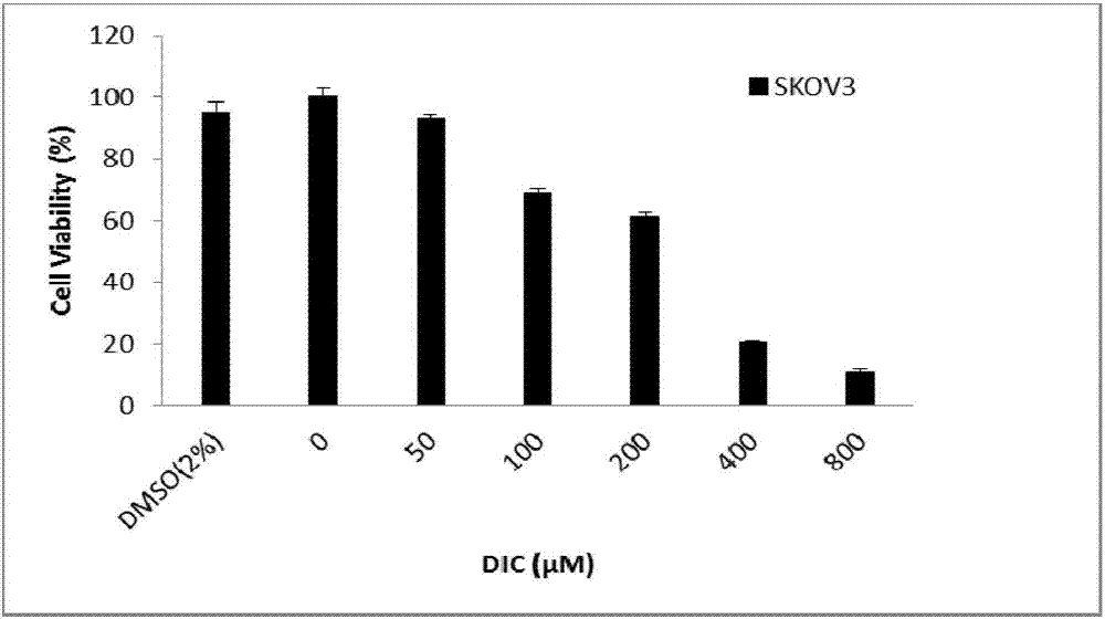 PDK1 inhibitor, composition containing inhibitor and application