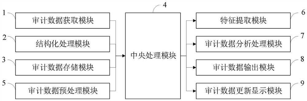 Auditing big data processing method and system