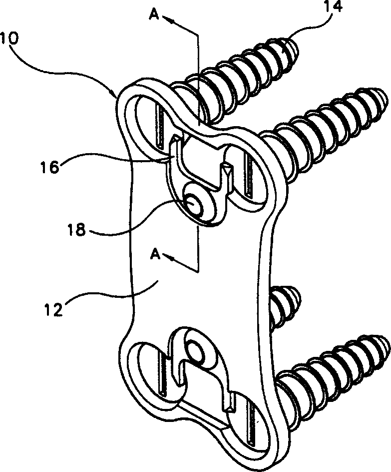 Cervical spine fixator and screwdriver used therefor