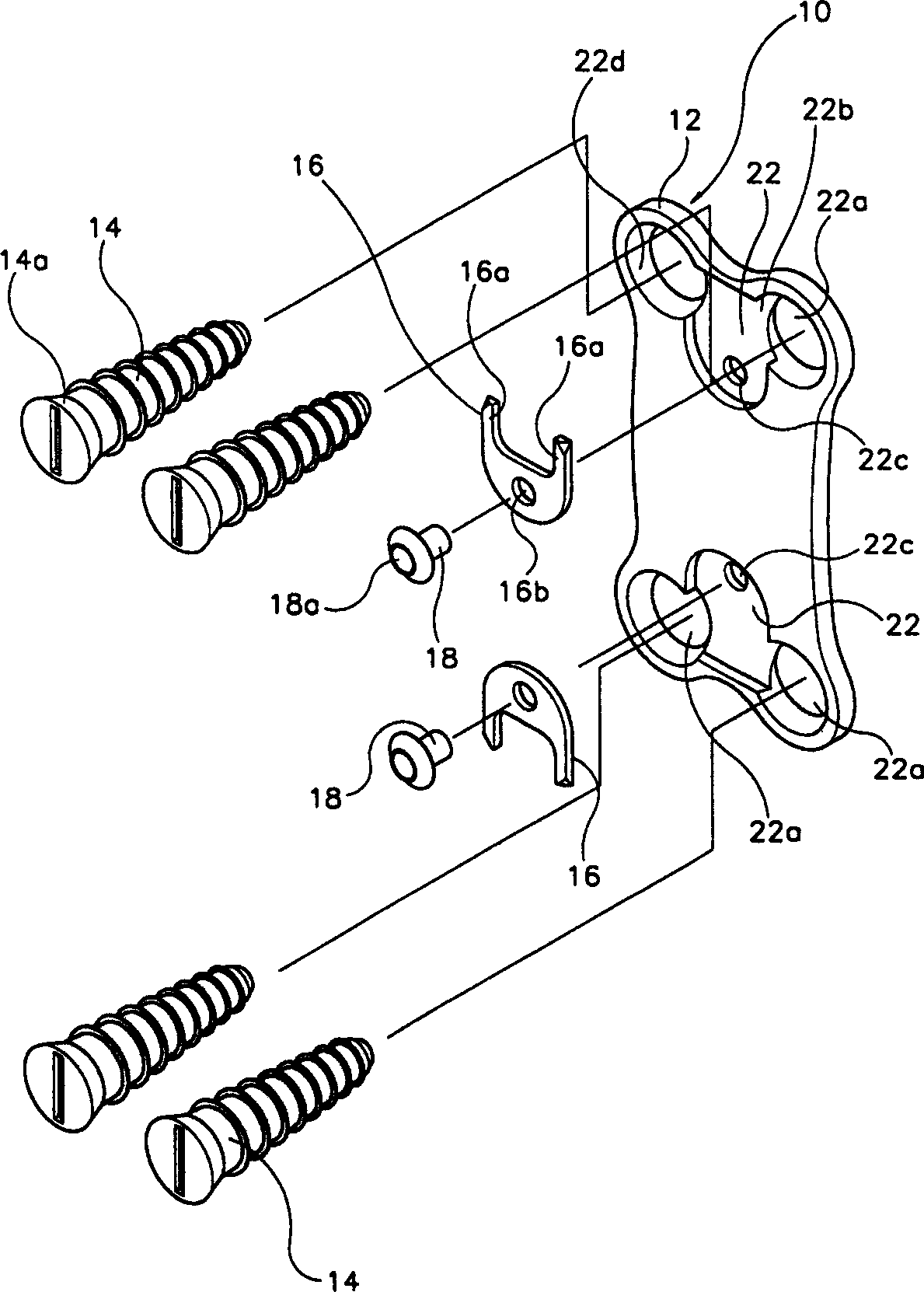 Cervical spine fixator and screwdriver used therefor