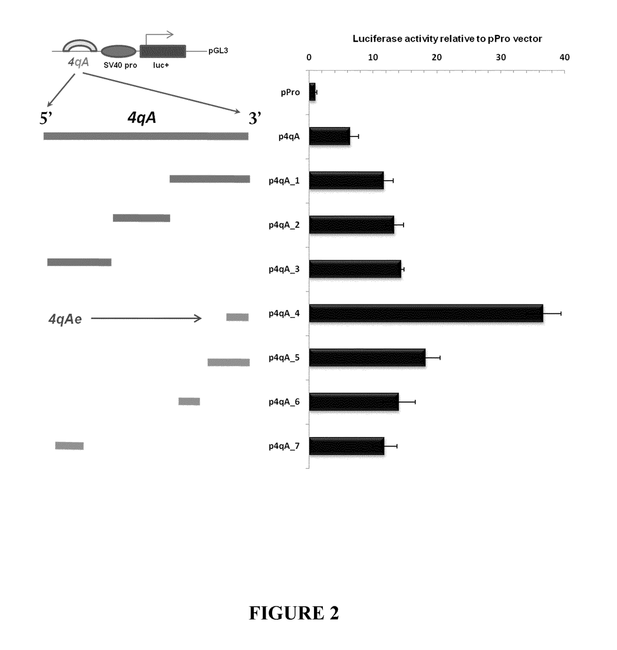 Therapeutic methods, products and compositions inhibiting znf555