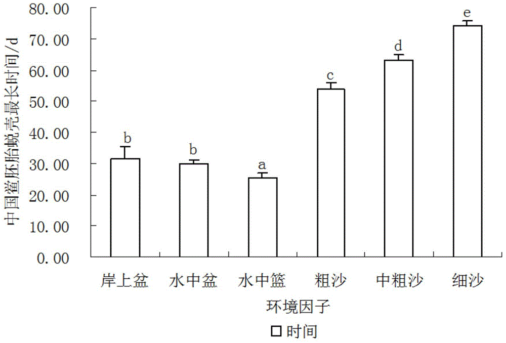 Method for accelerating artificial breeding speed of horseshoe crabs of China