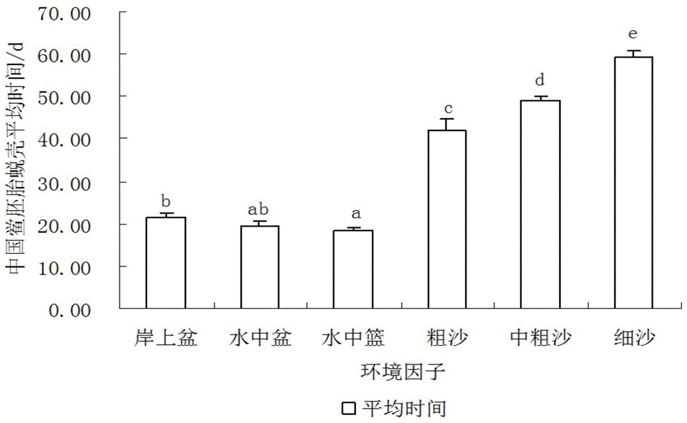 Method for accelerating artificial breeding speed of horseshoe crabs of China