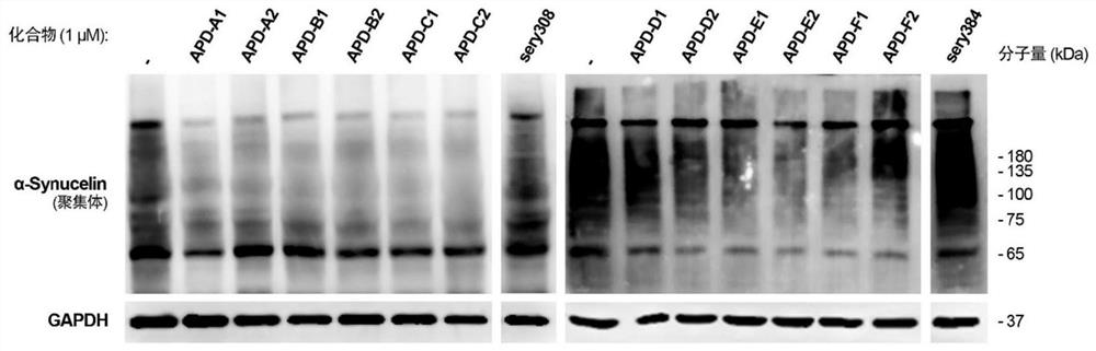 Alpha-synuclein targeting compound as well as preparation method and application thereof