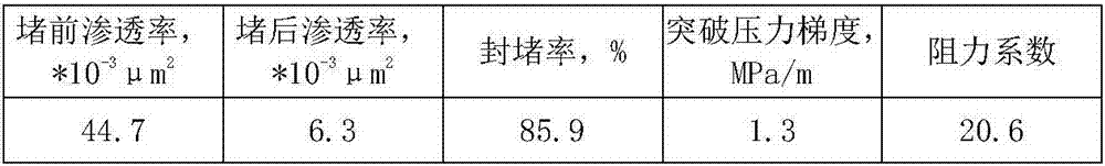 Low-permeability crack oil reservoir multi-element double-slug type profile control agent and using method thereof