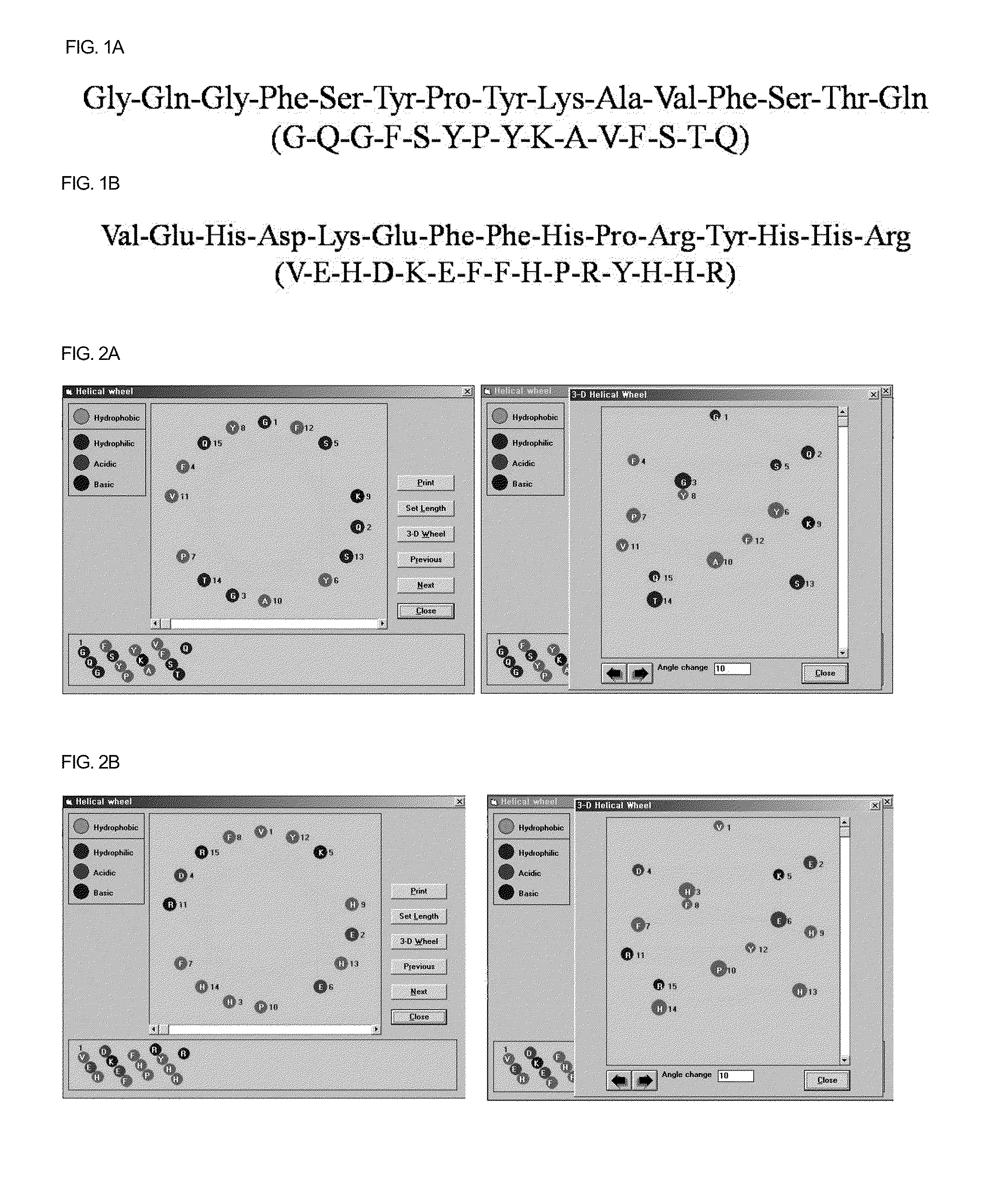 Osteogenic synthetic peptides, pharmaceutical compositions comprising the same, and medium containing the same