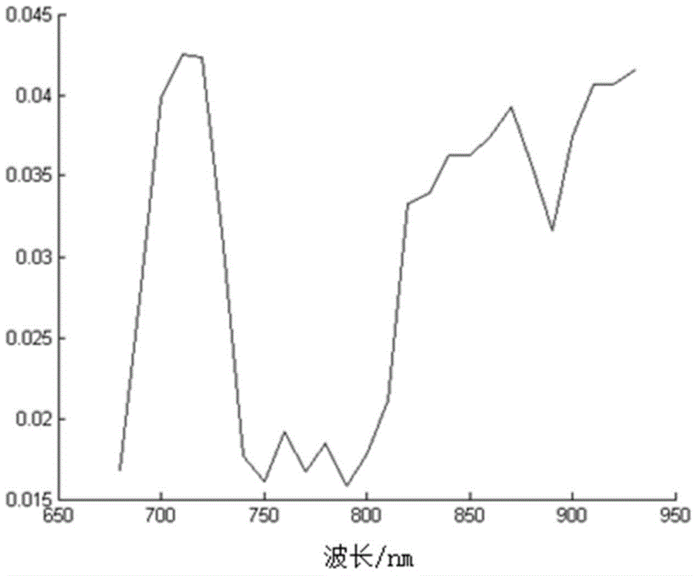 Carbon nanotube photoacoustic contrast agent containing CLIC1 antibody and preparation method thereof