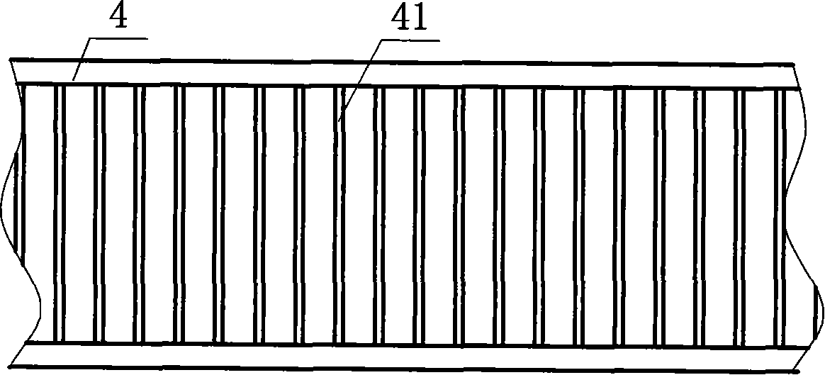 Net band transmission type vacuum continuous drying device and net band transmission type drying device