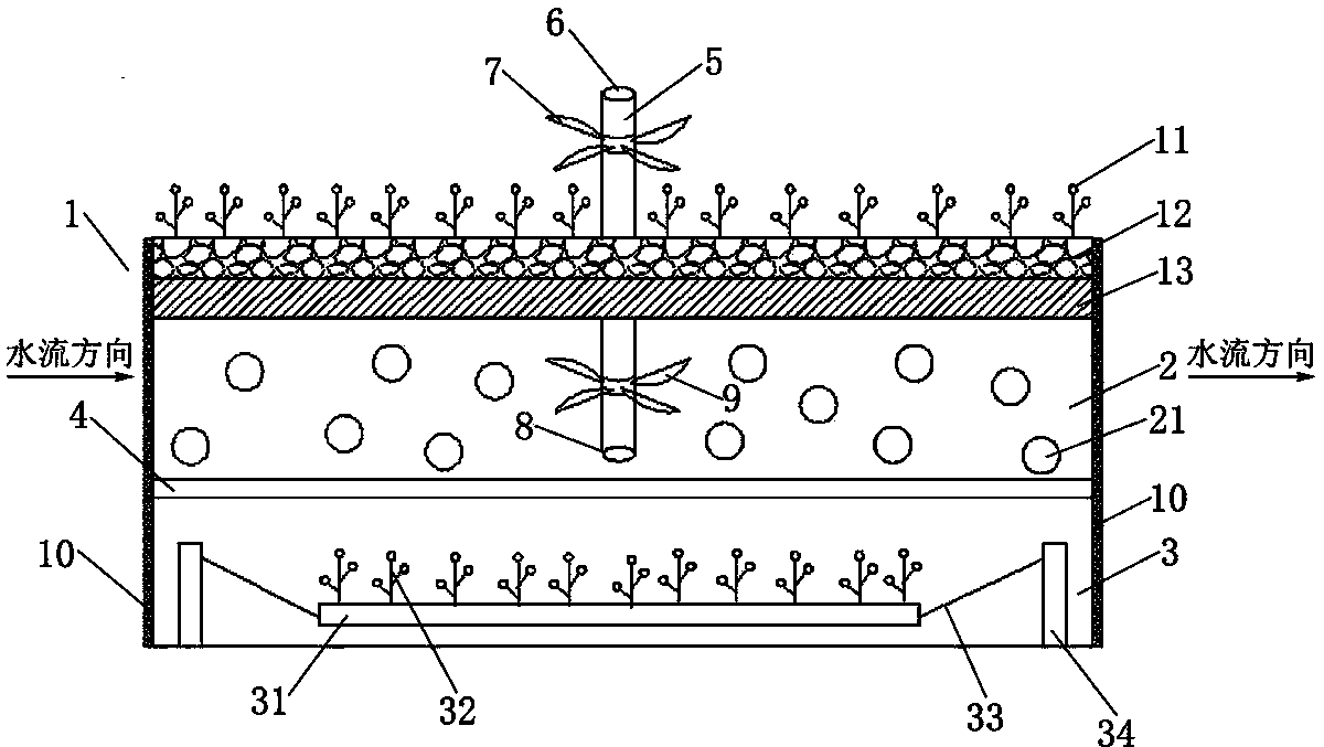 Multi-step water body ecological purification system and construction method thereof