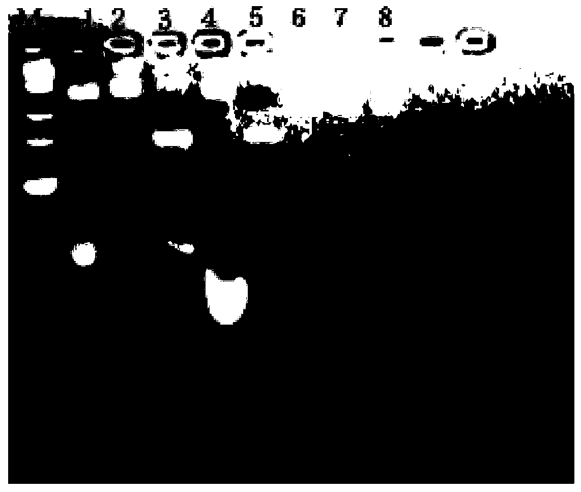 Nucleic acid removing agent