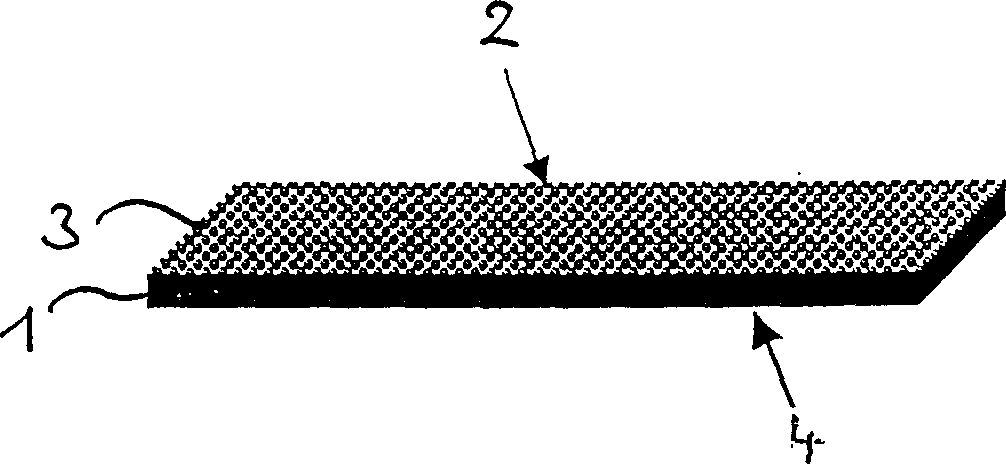 Slide for fluorescent microscope