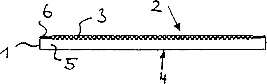 Slide for fluorescent microscope