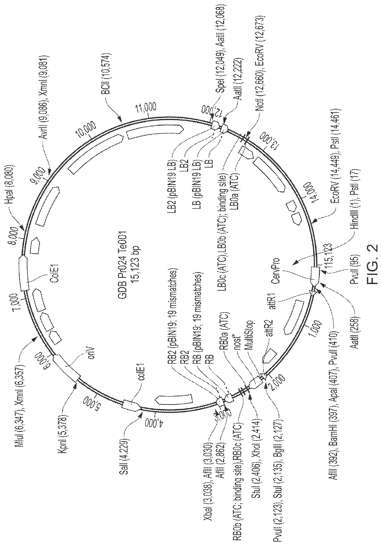 Method for decreasing the alkaloid content of a tobacco plant