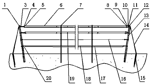 Vineyard mechanization planting management device