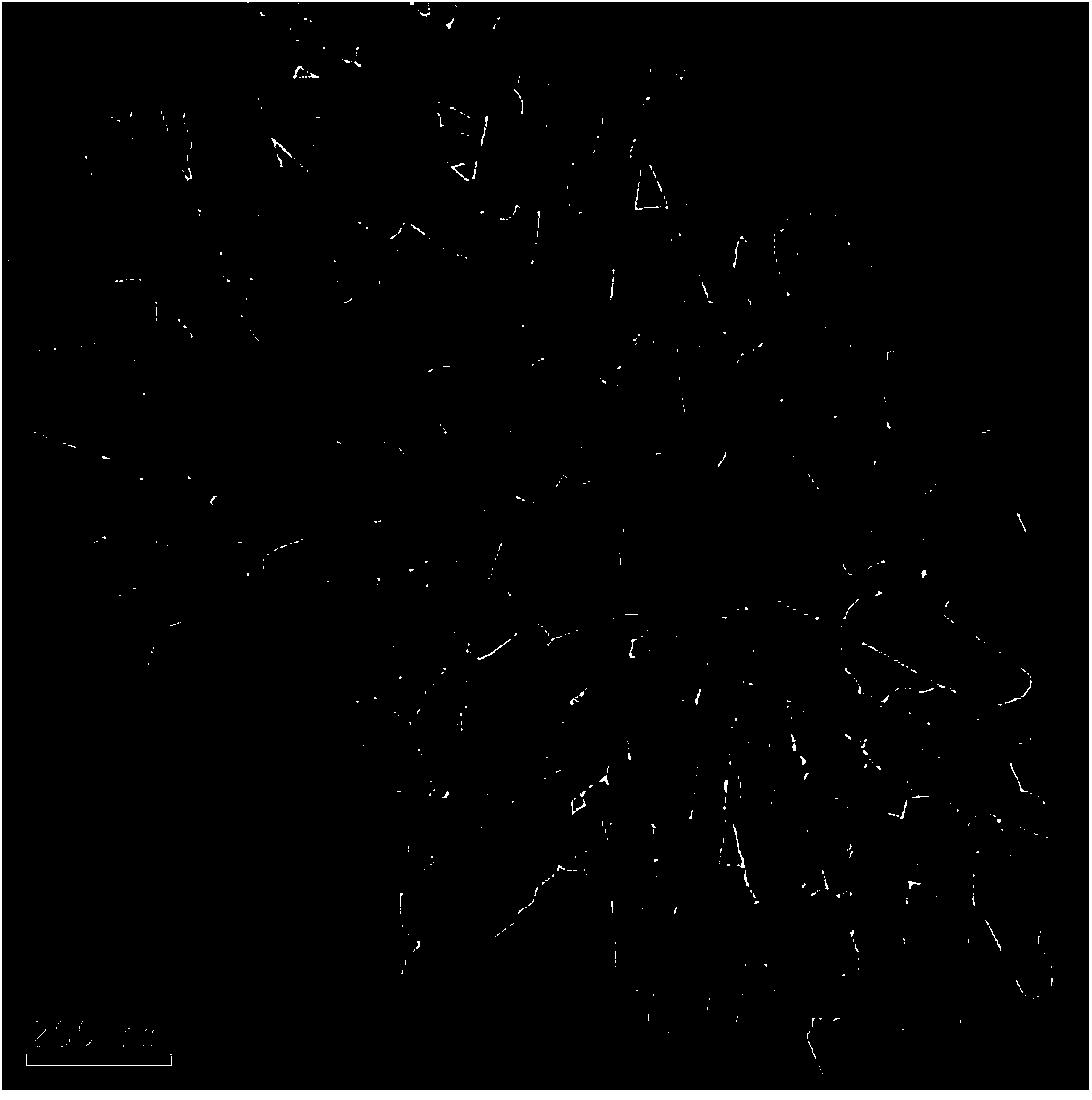 Preparation method and application of sulfur-doped antimony oxide visible light photocatalyst