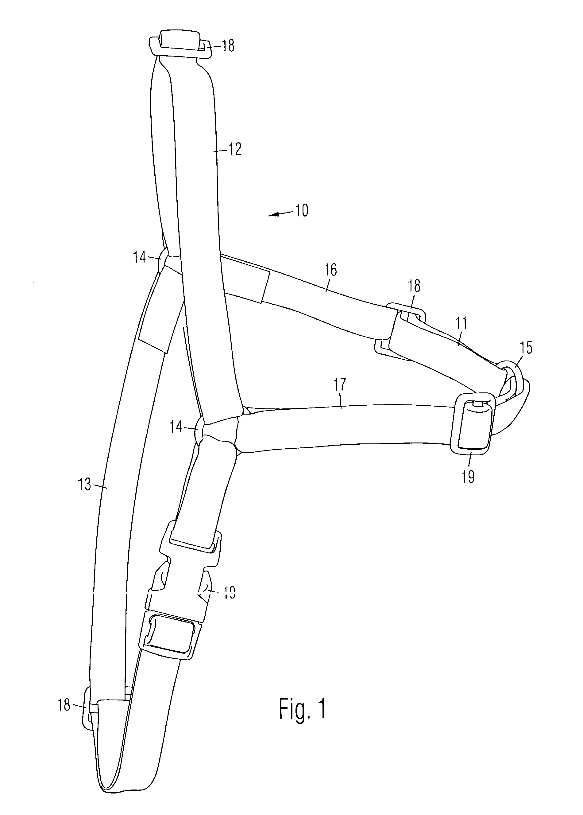 Animal training apparatus and method