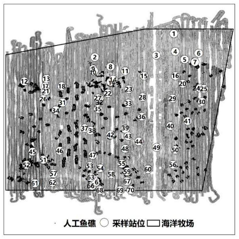 A method for remote sensing and identification of seabed in marine pastures based on acoustic data