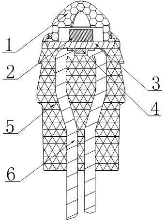 Light-emitting diode (LED) module based on high-voltage constant current technology