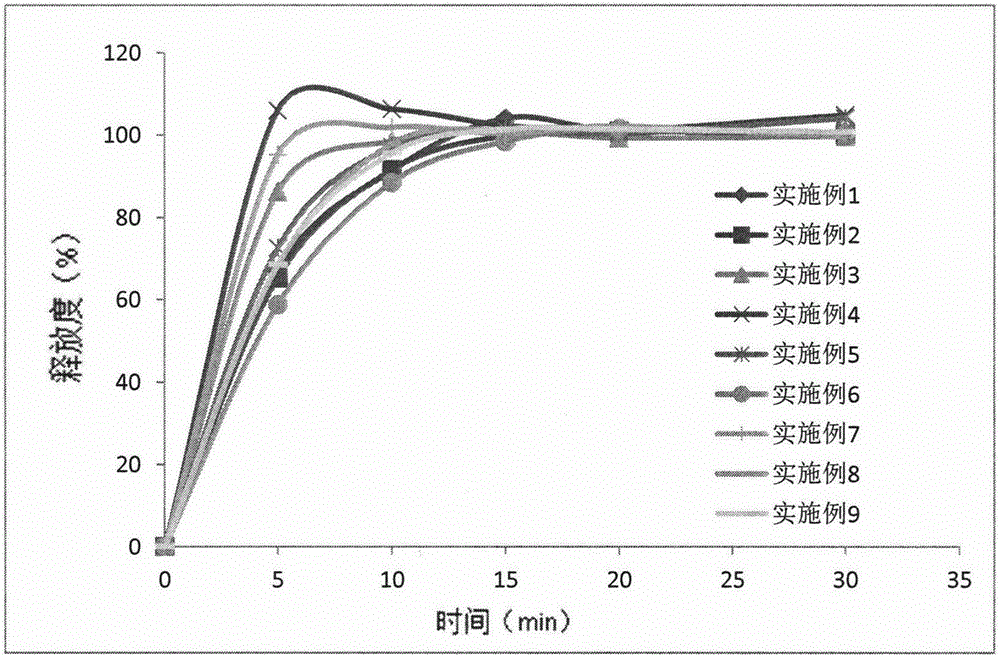 Metoclopramide oral film and preparation method thereof