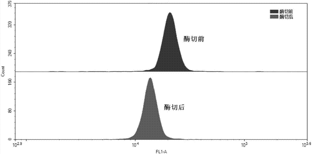 Quick sperm acrosin extraction method and sperm acrosin activity flow cytometry detection method