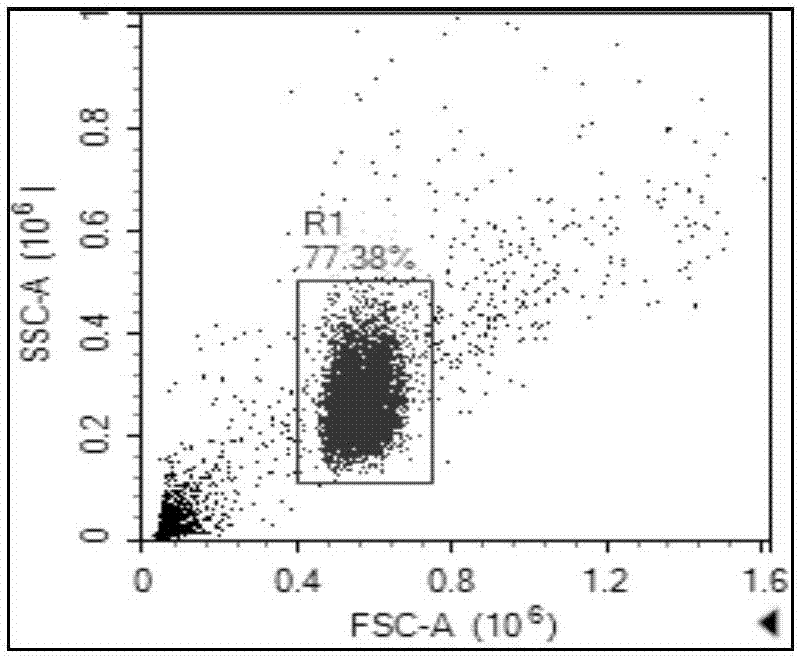 Quick sperm acrosin extraction method and sperm acrosin activity flow cytometry detection method