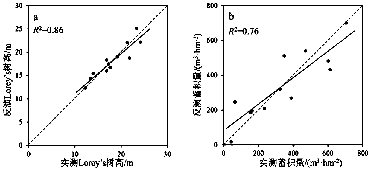 Secondary forest structure parameter inversion method based on unmanned aerial vehicle stereo photogrammetry point cloud