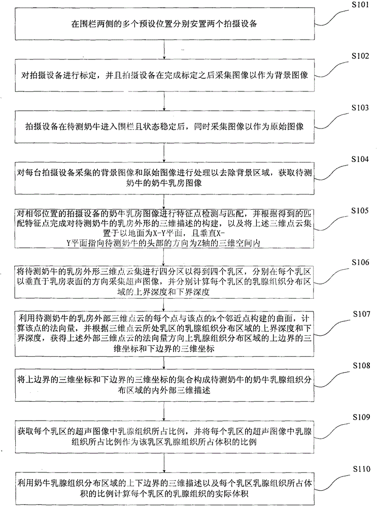 Method for measuring volume of dairy cow mammary tissue