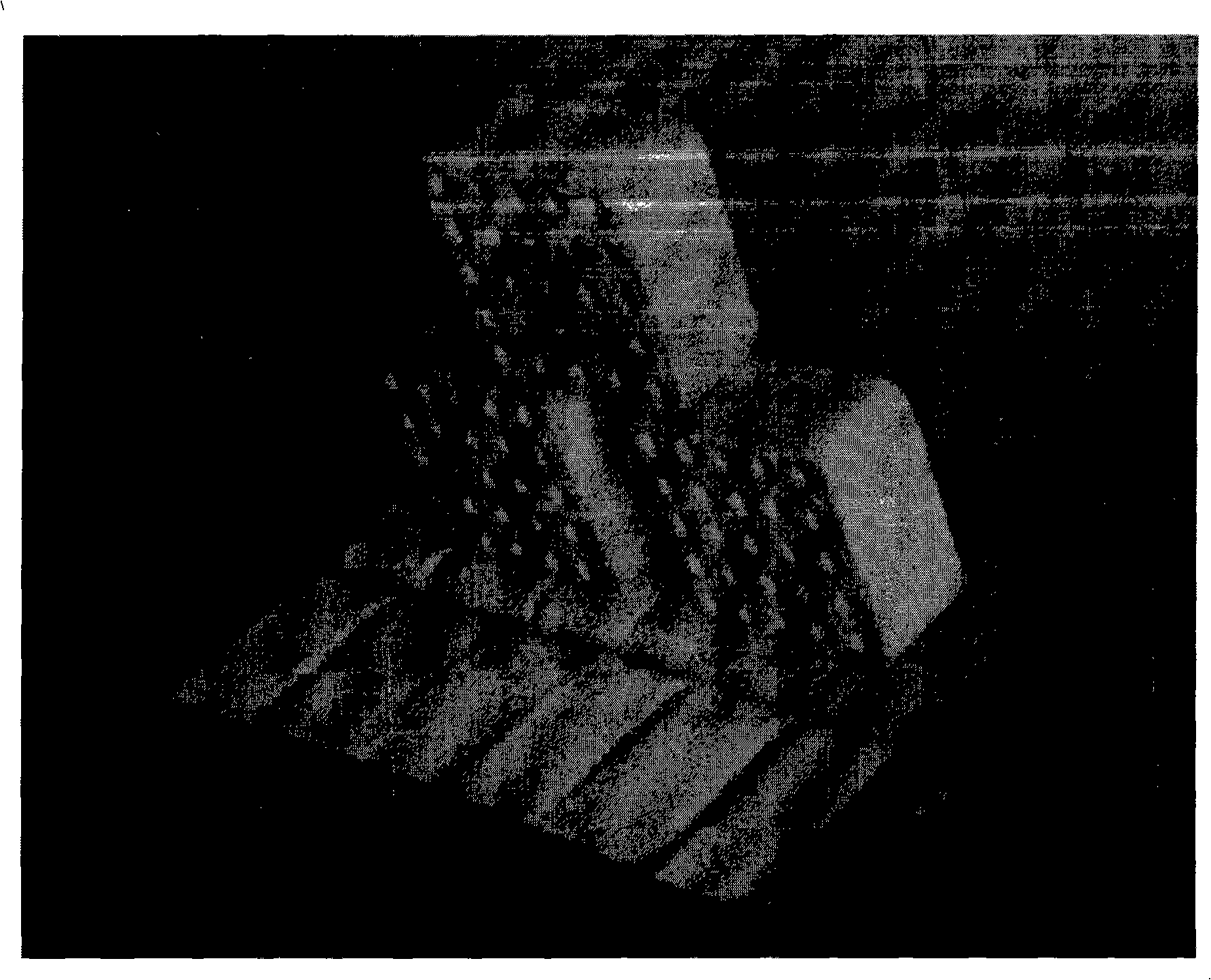 Biomass coal, preparation method and application thereof