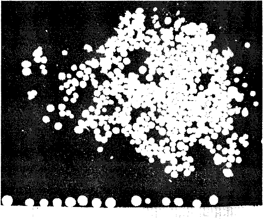 Method for preparing nano hydroxyapatite/polylactic acid composite microspheres