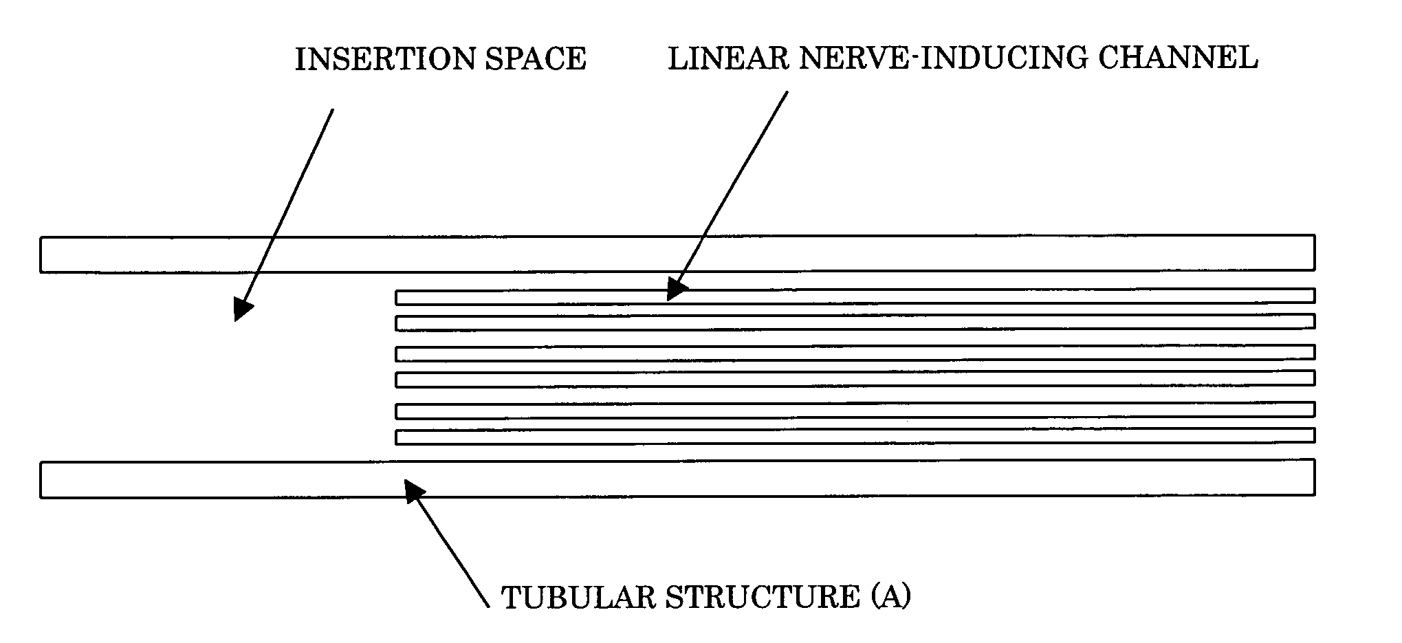 Nerve regeneration-inducing tube comprising