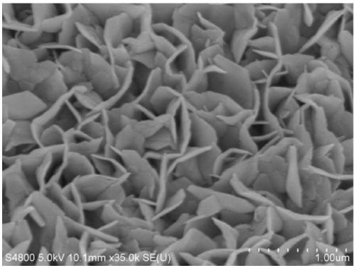 Cobalt-doped tin disulfide nano-sheet array material, preparation method and applications thereof