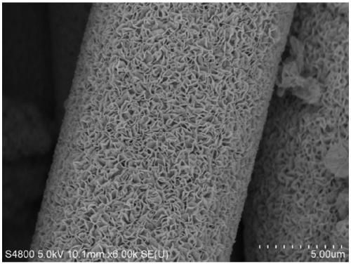 Cobalt-doped tin disulfide nano-sheet array material, preparation method and applications thereof