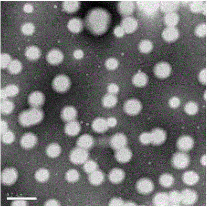 Core-shell type short-chain fluorine-containing acrylate emulsion and preparation method thereof