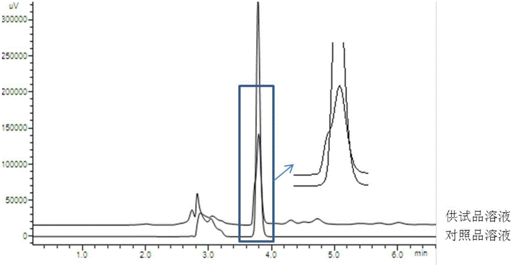 Acanthopanax senticosus detection method