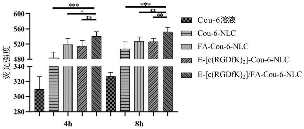 Nanostructure lipid preparation for improving doxorubicin tumor active targeting and kidney protection and preparation method