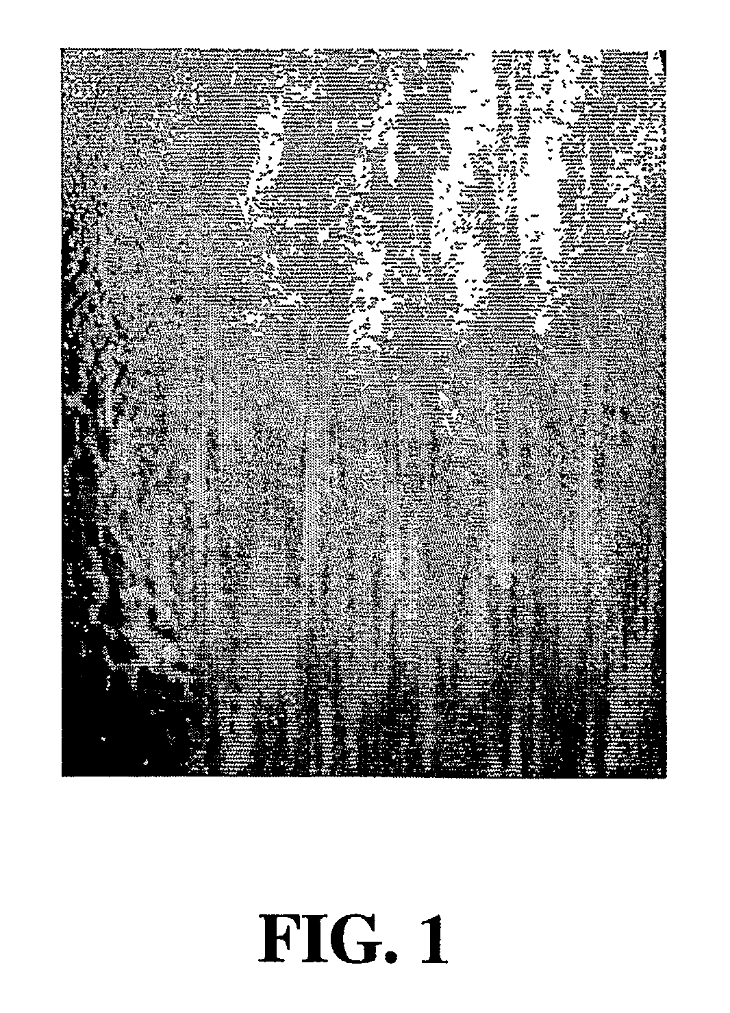 Articles having improved corrosion resistance