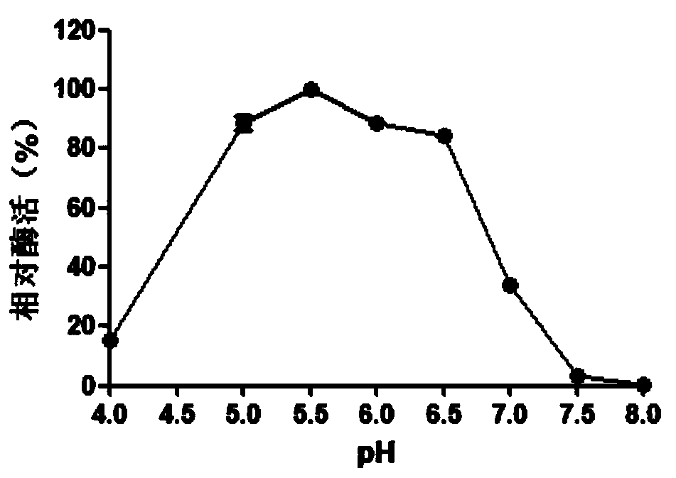 Xylosidase Xyl21 with high-concentration xylose, alcohol and salt tolerance as well as encoding gene and application of xylosidase Xyl21