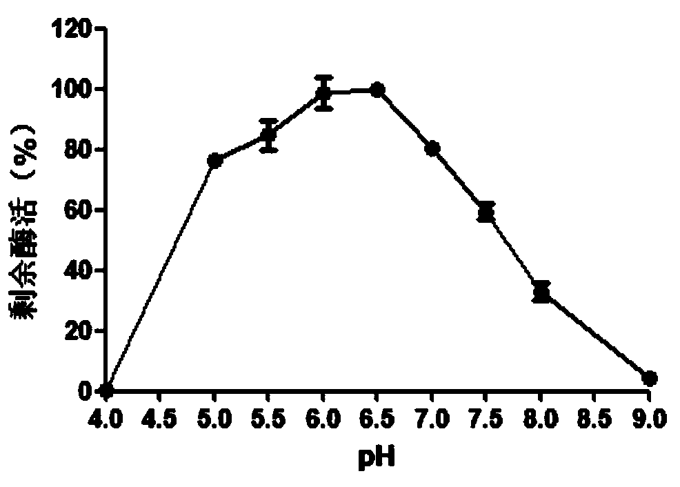 Xylosidase Xyl21 with high-concentration xylose, alcohol and salt tolerance as well as encoding gene and application of xylosidase Xyl21