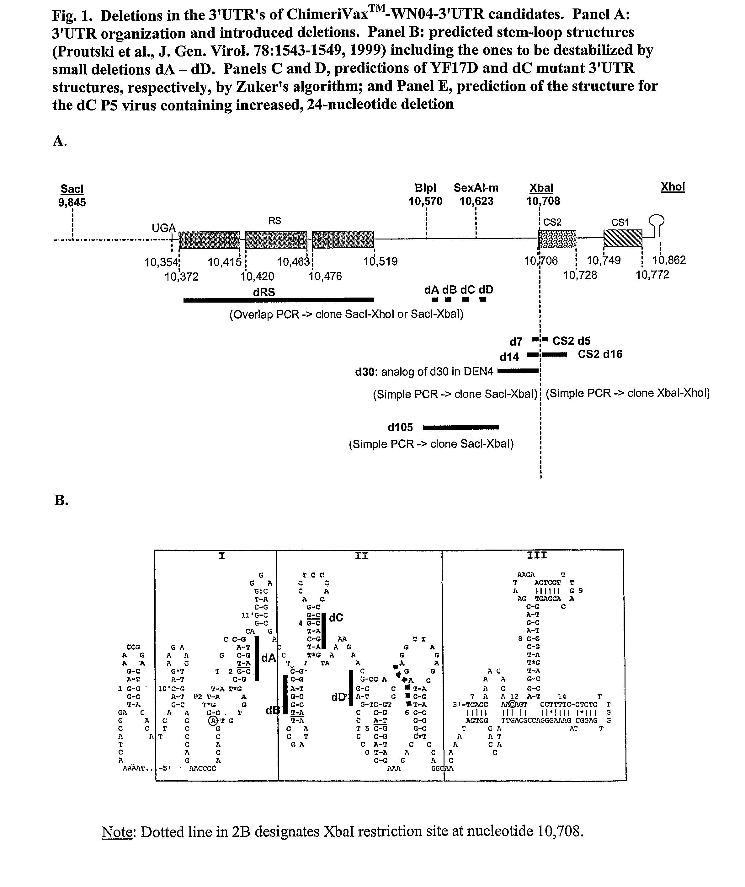 Recombinant flavivirus vaccines