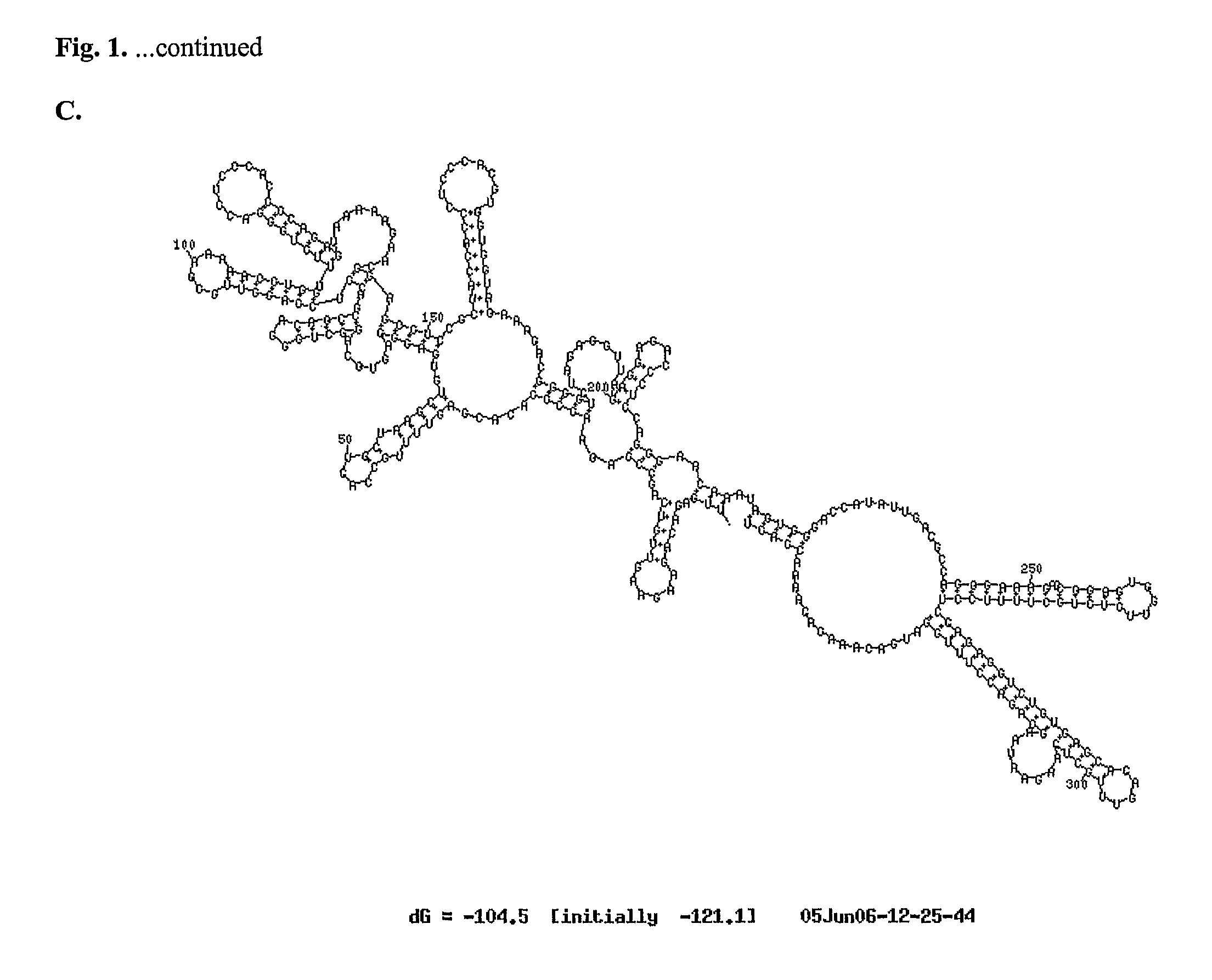 Recombinant flavivirus vaccines