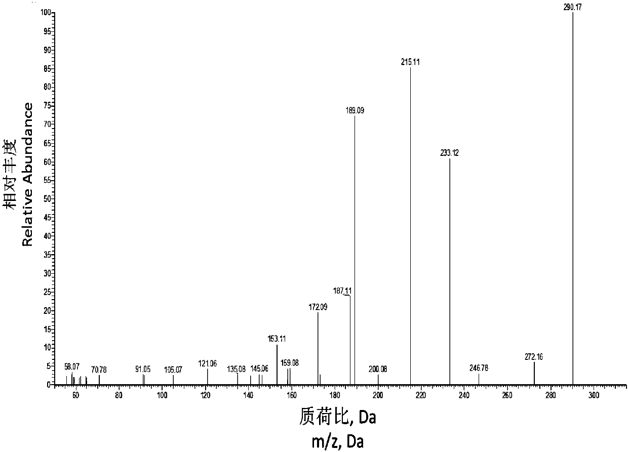 Method for rapidly detecting lycoramine content of lycoris plant